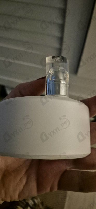 Парфюмерия HaNa от Masaki Matsushima