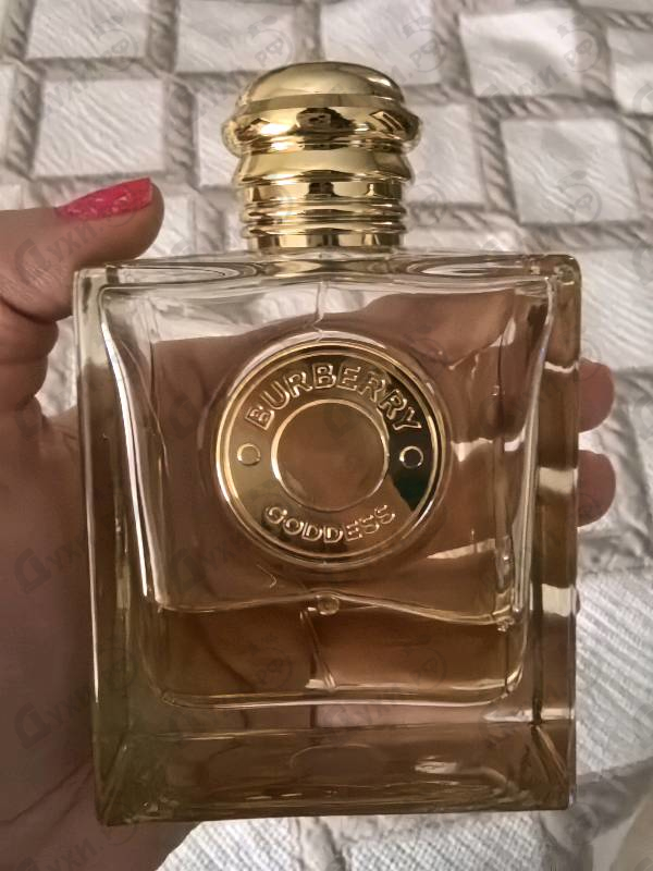 Отзывы Burberry Goddess