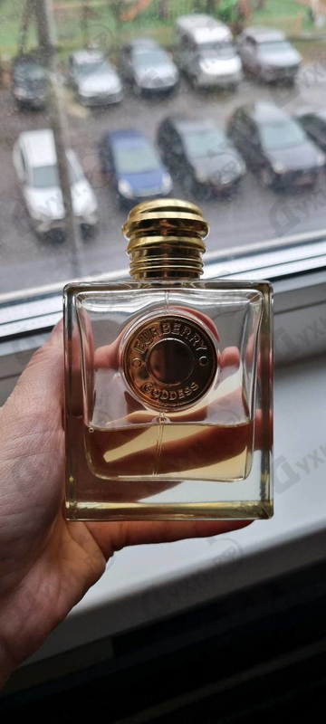 Отзывы Burberry Goddess