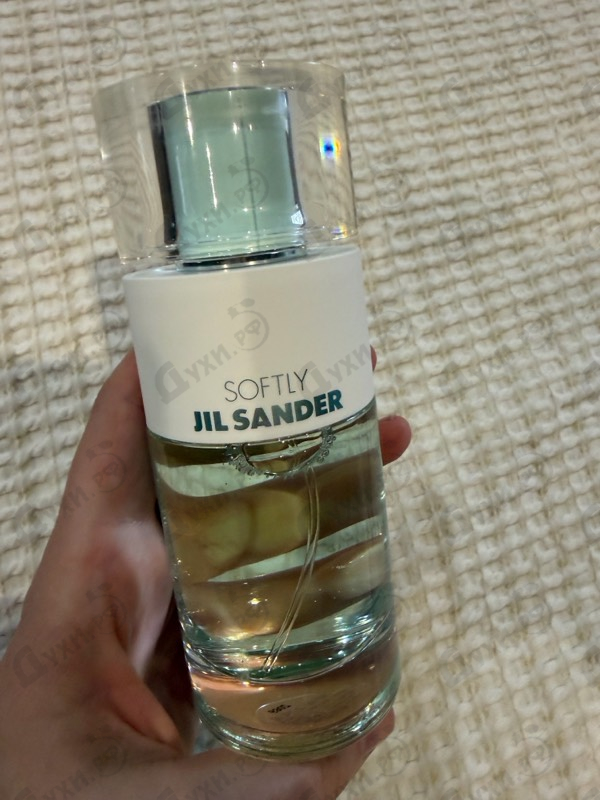 Купить Softly Jil Sander от Jil Sander