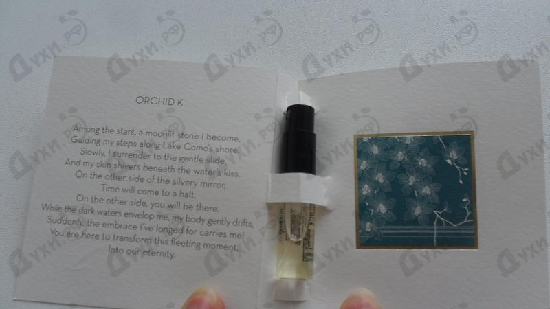 Купить Ella K Orchid K