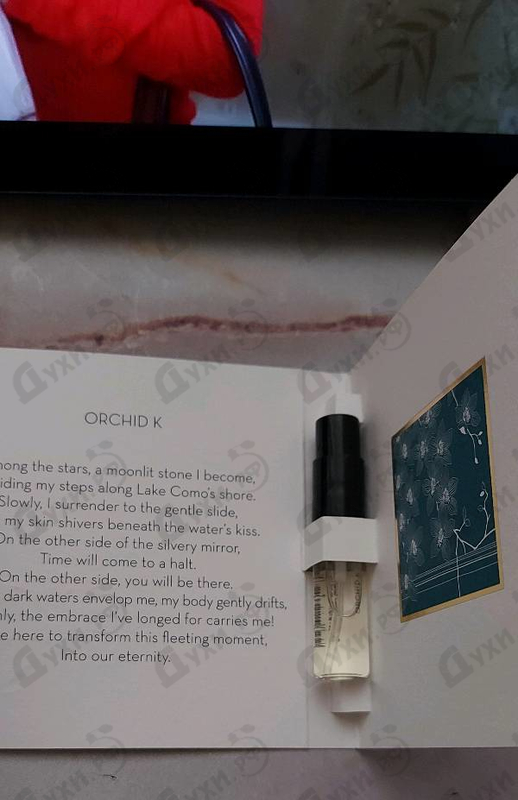 Купить Ella K Orchid K