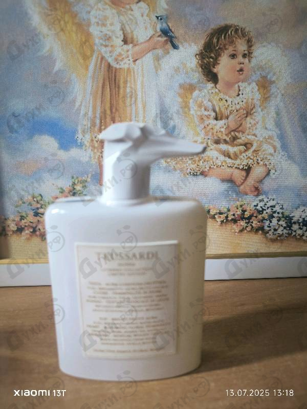 Купить Donna Levriero Limited Edition от Trussardi