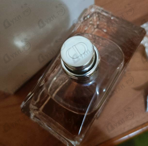 Купить Christian Dior Miss Dior Parfum (2024)