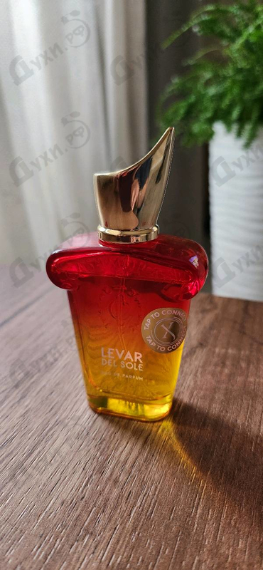 Парфюмерия Levar Del Sole от Xerjoff