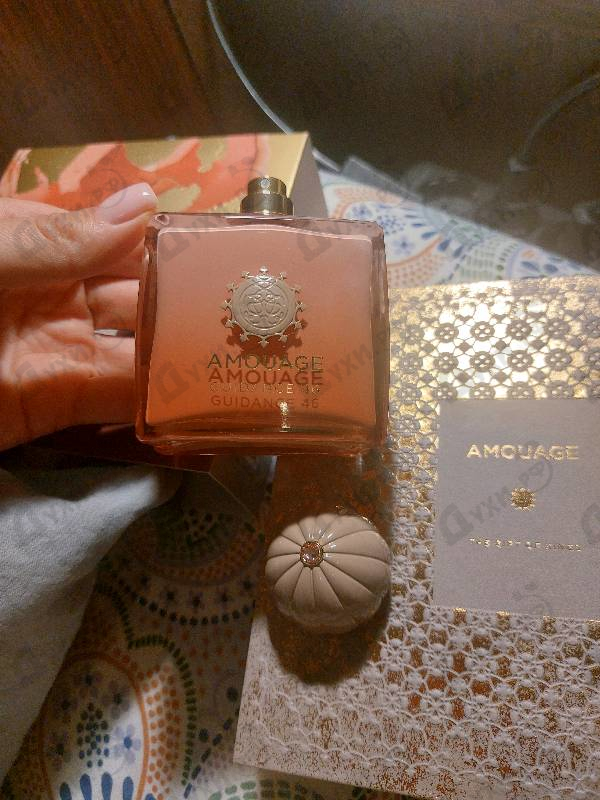 Парфюмерия Guidance 46 от Amouage
