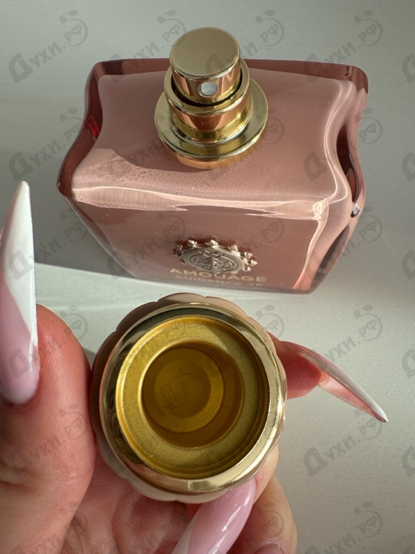 Купить Guidance 46 от Amouage