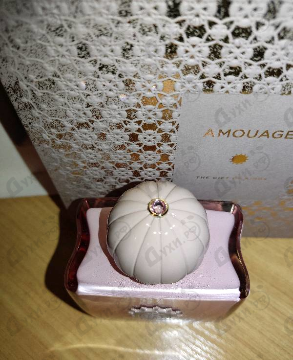 Купить Guidance 46 от Amouage