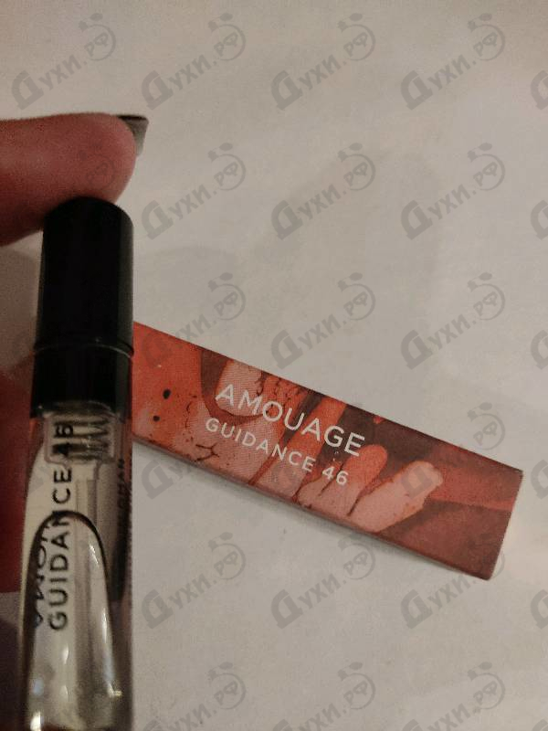 Купить Amouage Guidance 46