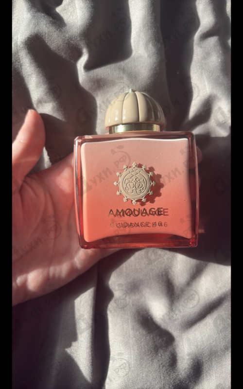 Отзывы Amouage Guidance 46