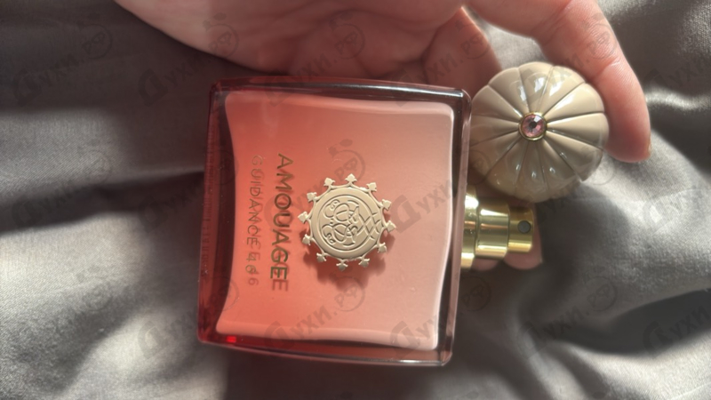 Купить Guidance 46 от Amouage