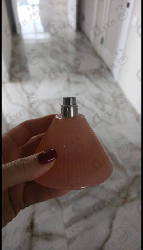 Купить Addictive от Pepe Jeans