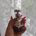 Отзывы Coach Dreams Moonlight