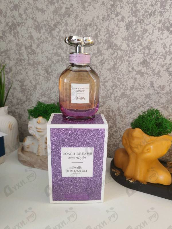 Отзывы Coach Dreams Moonlight