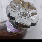 Отзыв Coach Dreams Moonlight