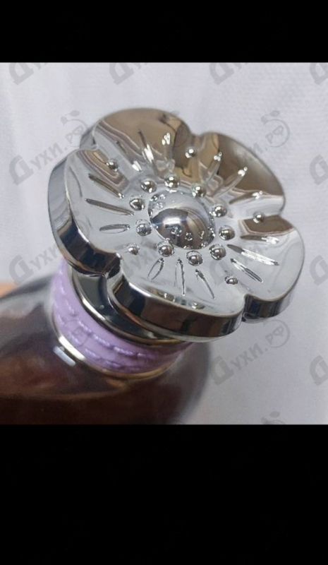 Купить Dreams Moonlight от Coach