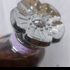 Купить Dreams Moonlight от Coach