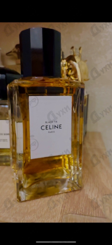 Купить Black Tie от Celine