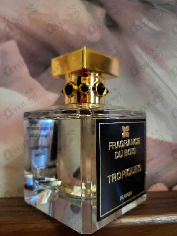 Духи Tropiques от Fragrance Du Bois