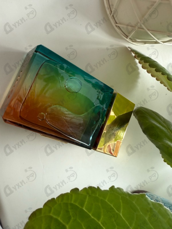 Духи Mango Aoud от Gritti