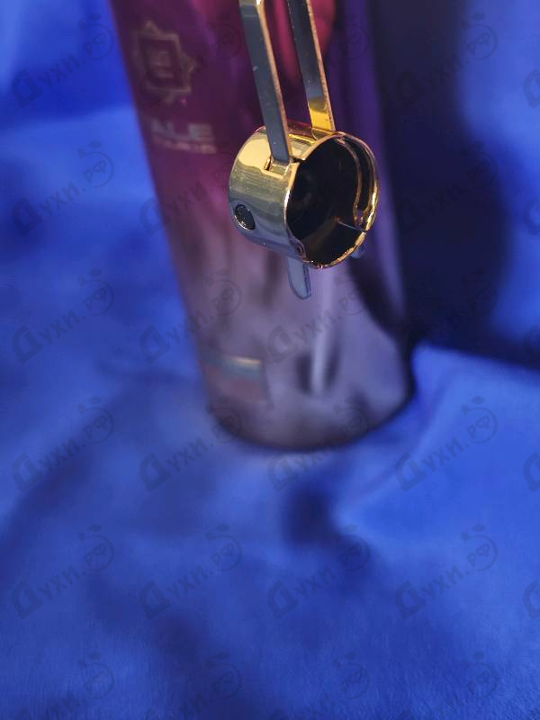 Парфюмерия Beast Love от Montale