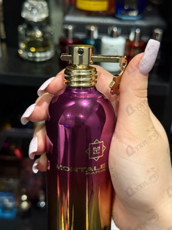 Парфюмерия Montale Beast Love