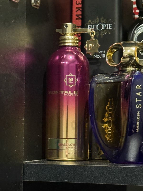 Купить Montale Beast Love