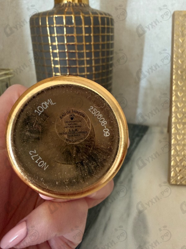 Купить Beast Love от Montale