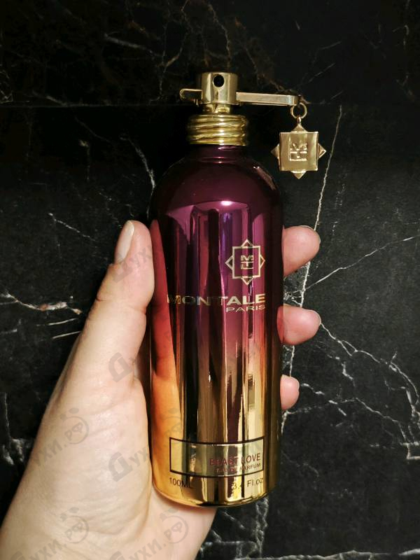 Купить Montale Beast Love