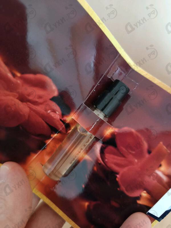 Купить Montale Bubble Forever