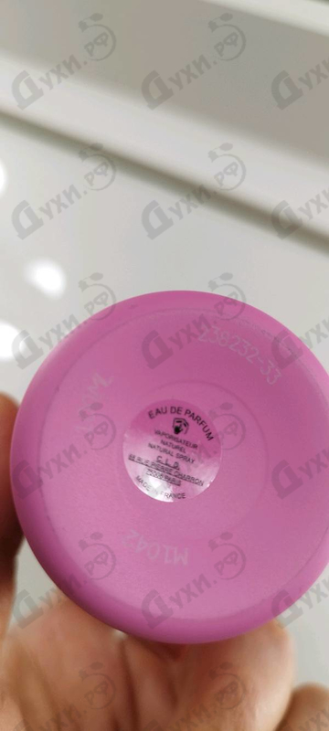 Купить Bubble Forever от Montale