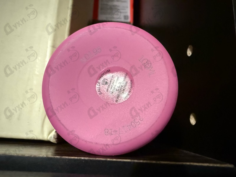 Купить Bubble Forever от Montale