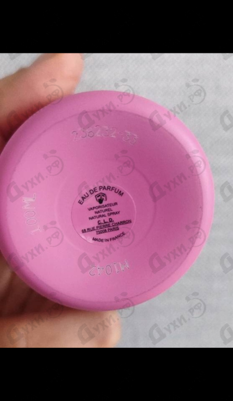 Купить Bubble Forever от Montale