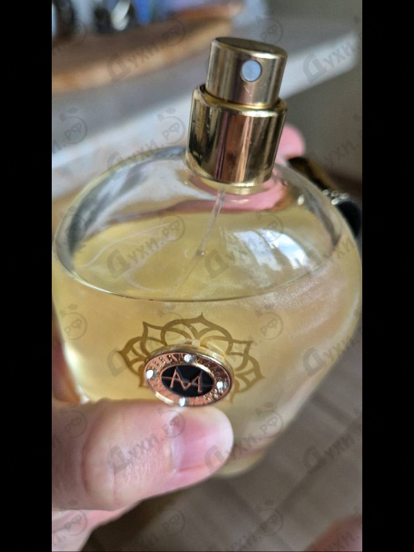 Купить Perpetual от Moresque