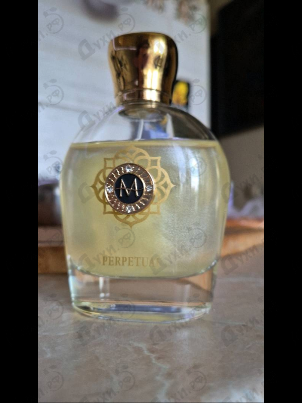 Купить Perpetual от Moresque