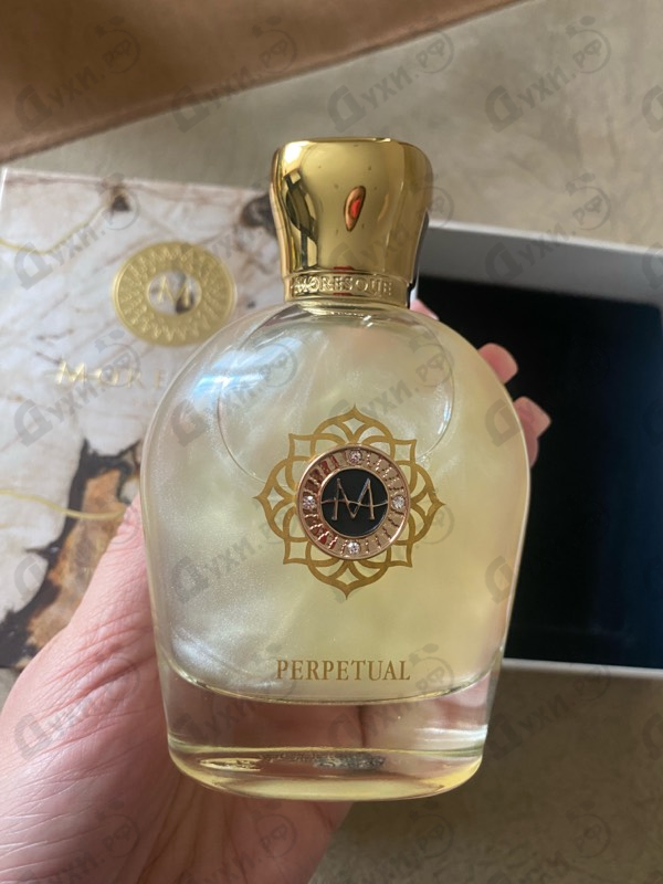 Купить Moresque Perpetual