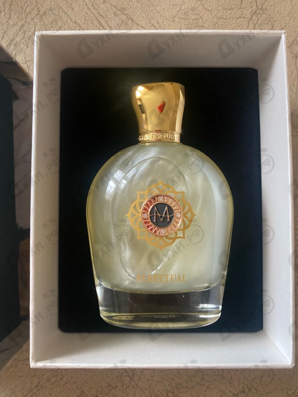 Парфюмерия Moresque Perpetual