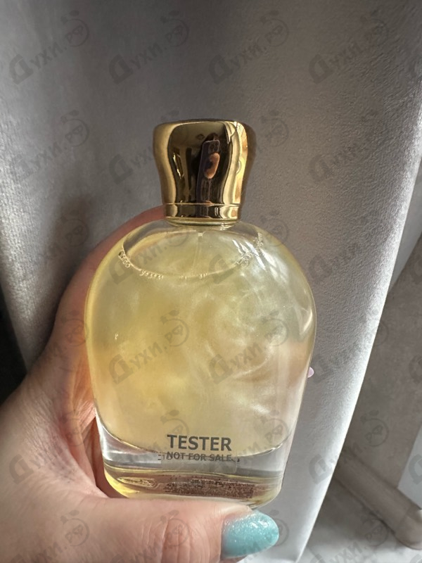 Купить Perpetual от Moresque