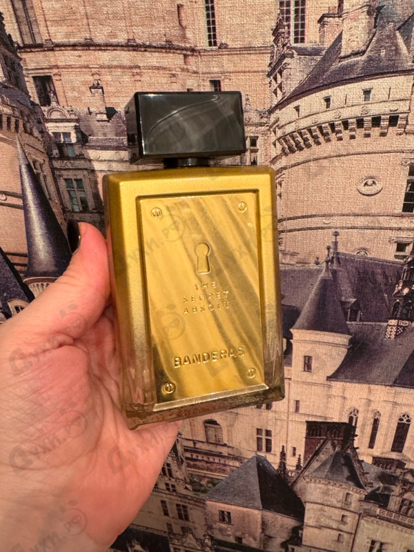 Духи The Secret Absolu от Antonio Banderas