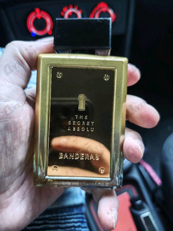 Купить The Secret Absolu от Antonio Banderas