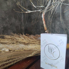 Отзывы Haute Fragrance Company SunMusk