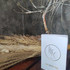 Парфюмерия Haute Fragrance Company SunMusk Купить SunMusk от Haute Fragrance Company