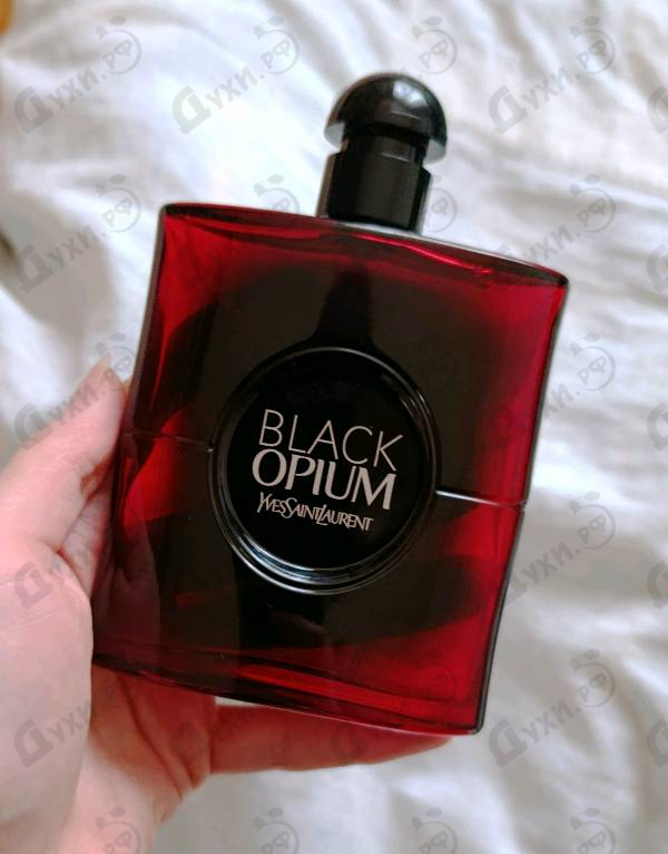 Купить Black Opium Over Red от Yves Saint Laurent