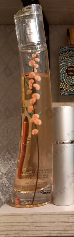 Духи Flower Ikebana Mimosa от Kenzo