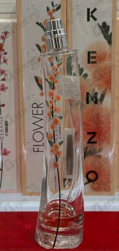 Купить Flower Ikebana Mimosa от Kenzo