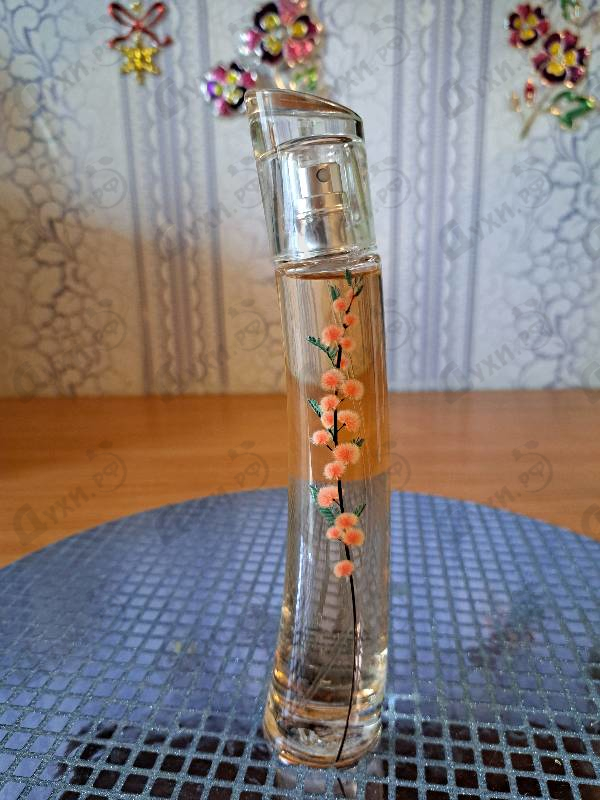 Отзывы Kenzo Flower Ikebana Mimosa