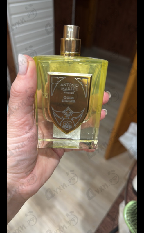 Купить Antonio Maretti Gold Digger