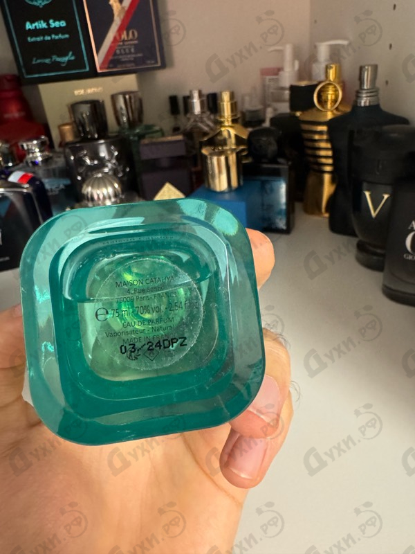 Купить Princesse Zaphira от Maison Cataliya