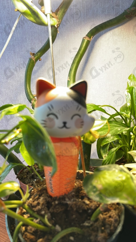 Отзывы Kokeshi Neko