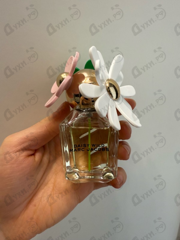 Купить Daisy Wild от Marc Jacobs